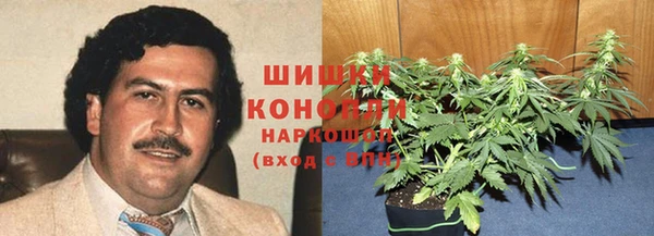 ГАЛЛЮЦИНОГЕННЫЕ ГРИБЫ Баксан